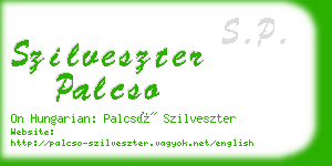 szilveszter palcso business card